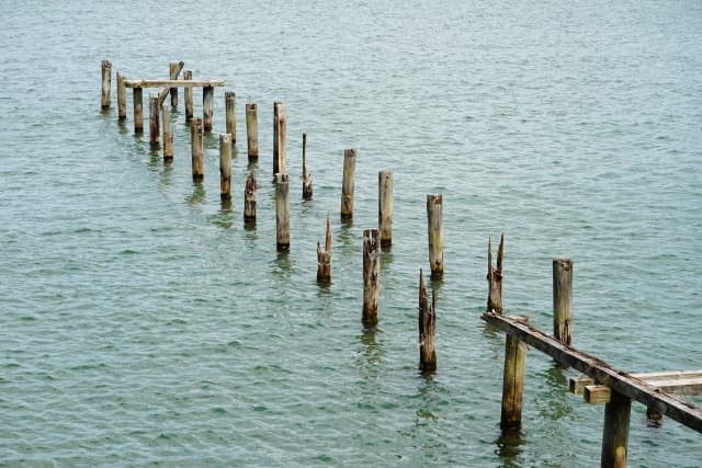 ほぼ木で作られた支柱だけとなった桟橋跡