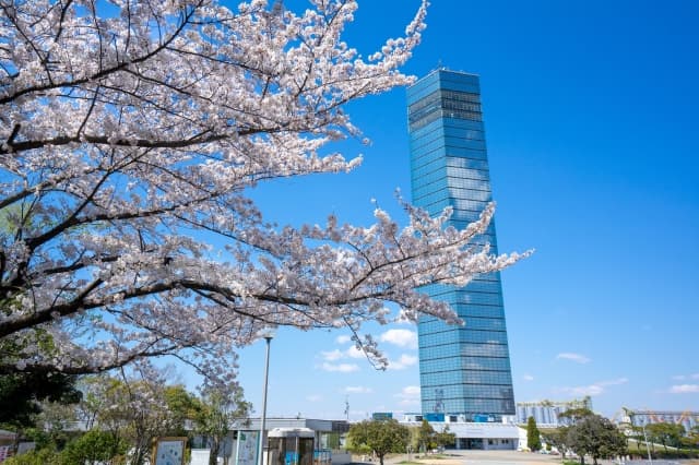 満開の桜と千葉ポートタワー