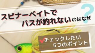 スピナーベイトでバスが釣れないのはなぜ？チェックしたい5つのポイント