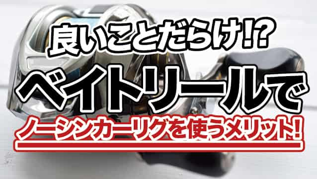 ベイトリールでノーシンカーリグを使うメリット 良いことだらけ ちばつりわんこ