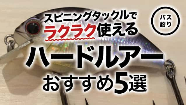 バス釣りで朝マズメを超充実の時間にするために 納得の釣果を得るコツ ちばつりわんこ