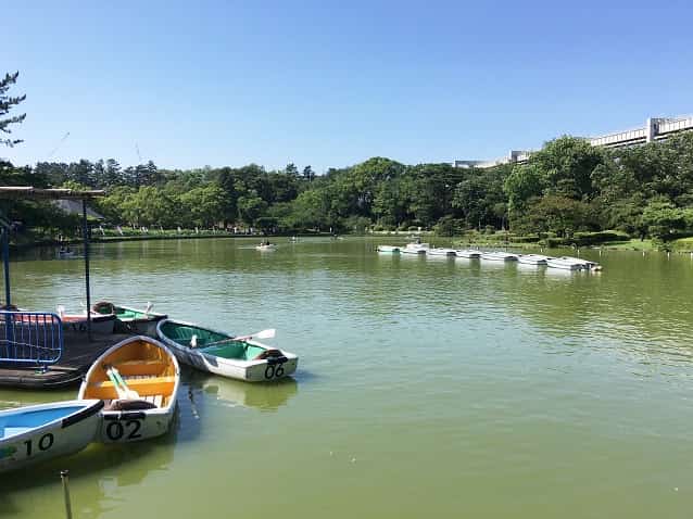 千葉公園の綿打池とボート