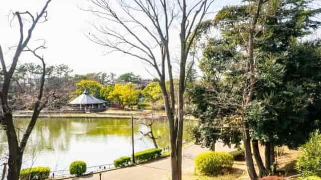 緑豊かな千葉公園